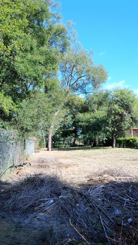TERRENO
