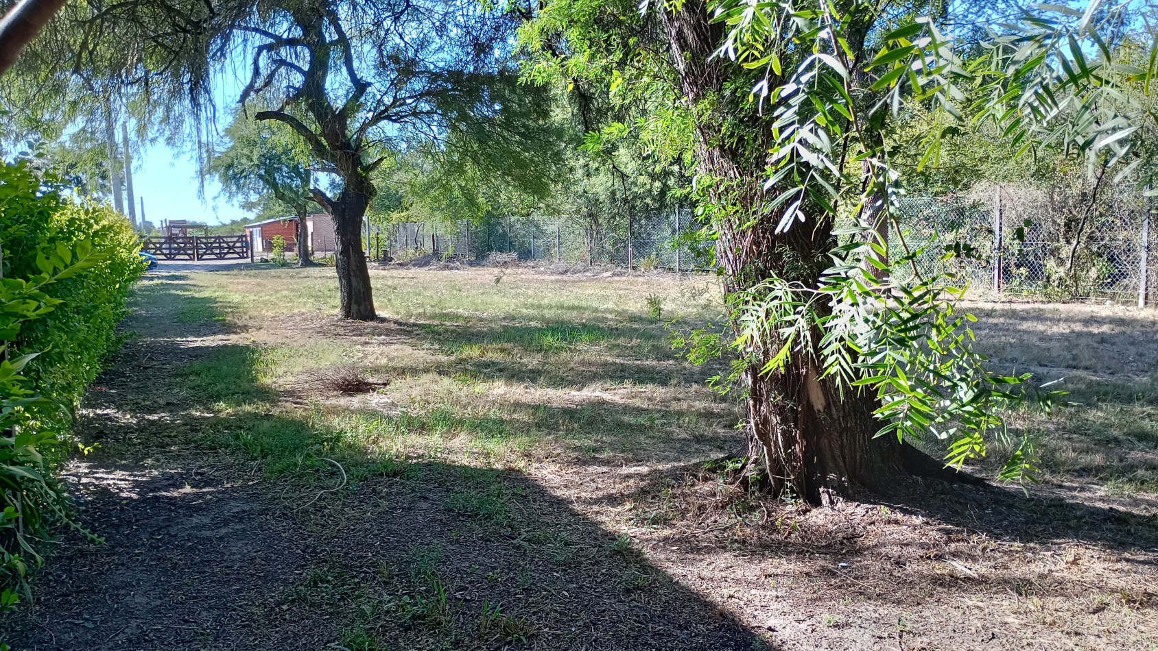 TERRENO