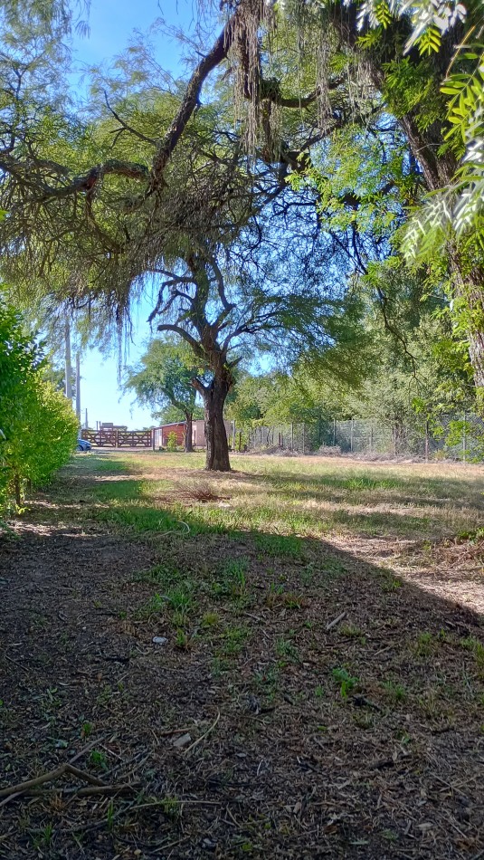 TERRENO