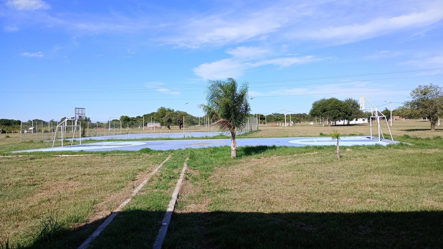 TERRENO
