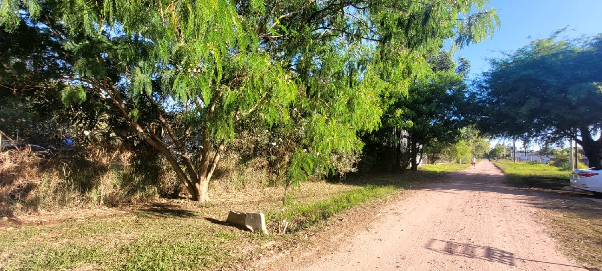 CASA