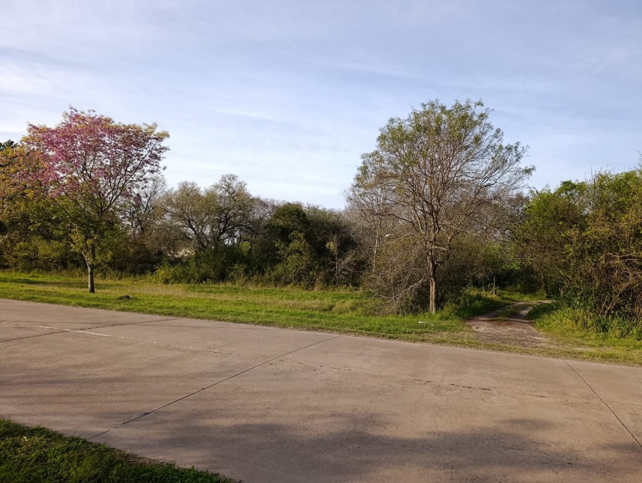TERRENO