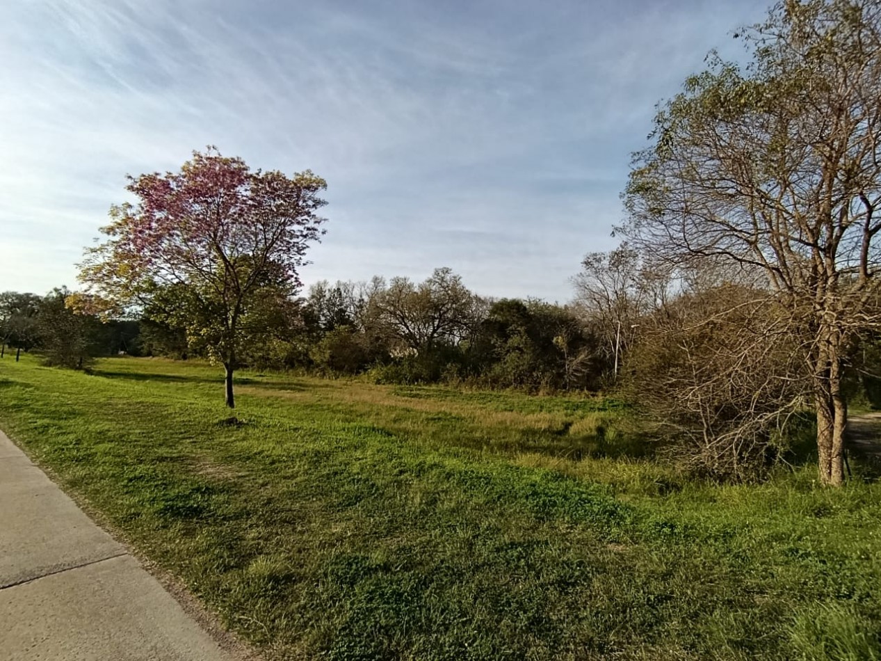 TERRENO
