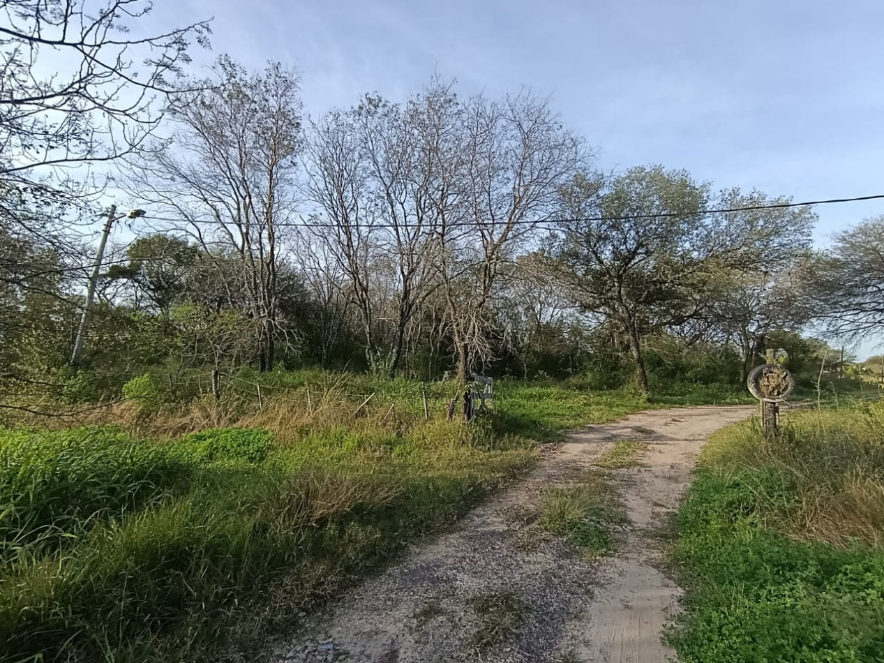TERRENO