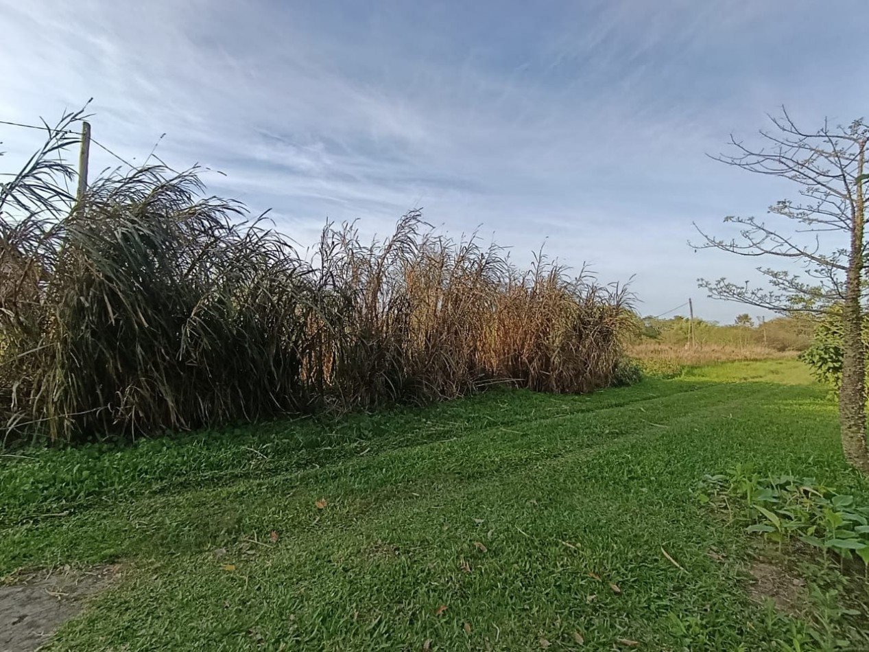 TERRENO