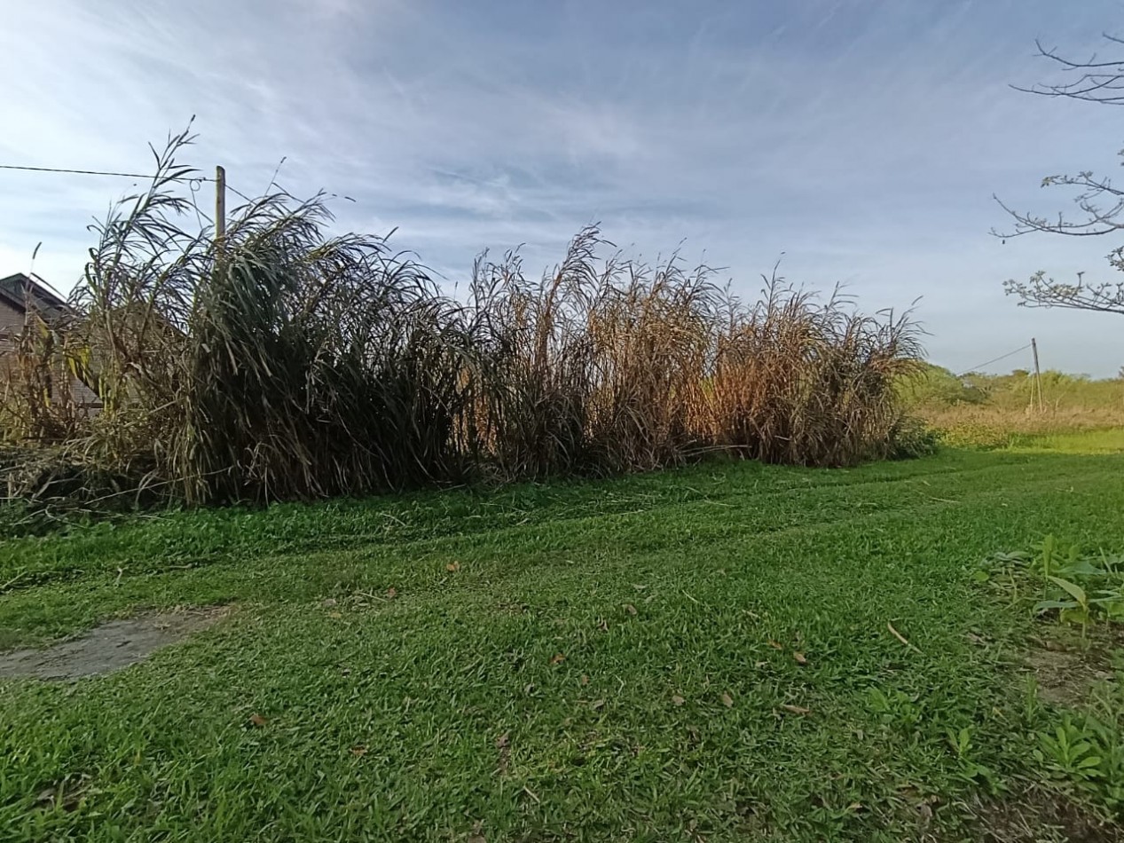 TERRENO