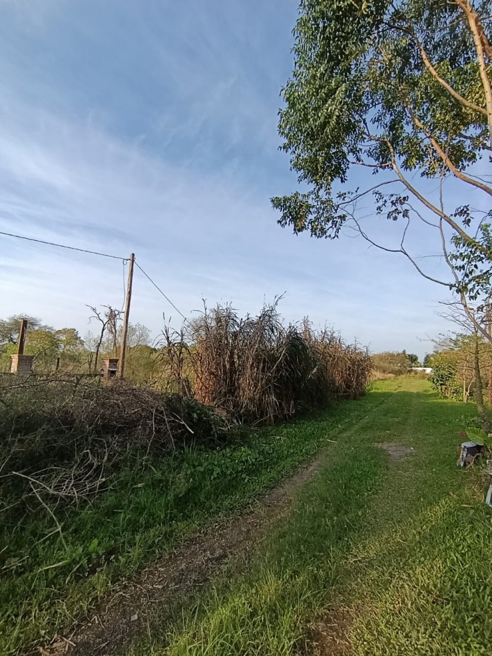 TERRENO