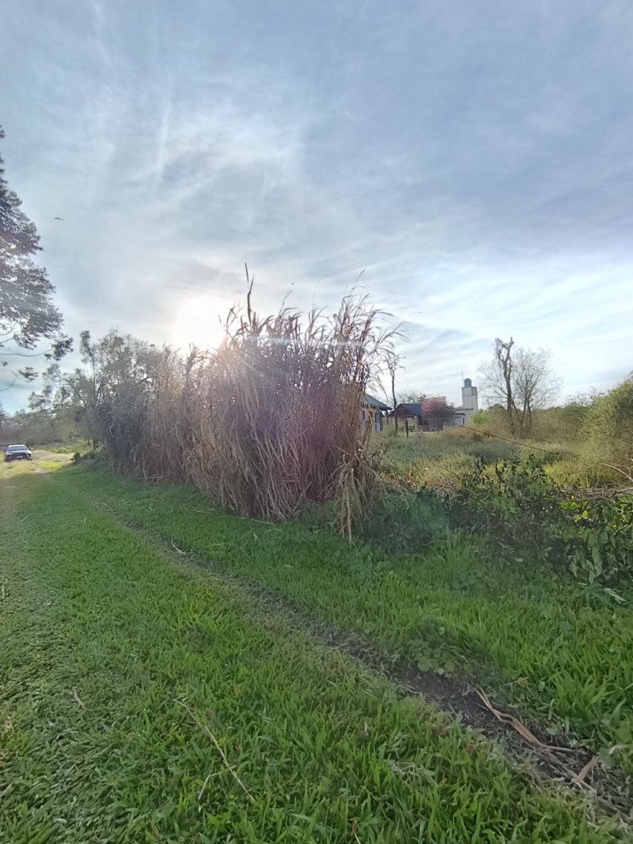 TERRENO