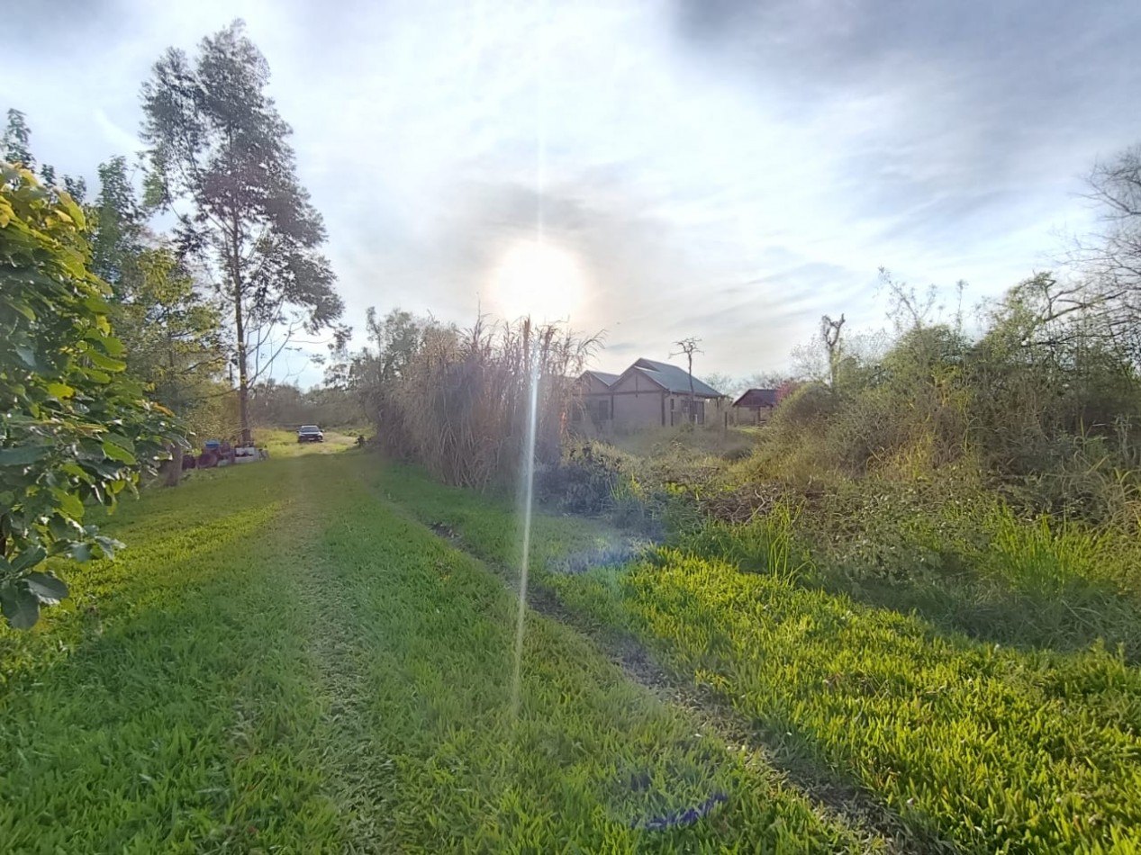 TERRENO